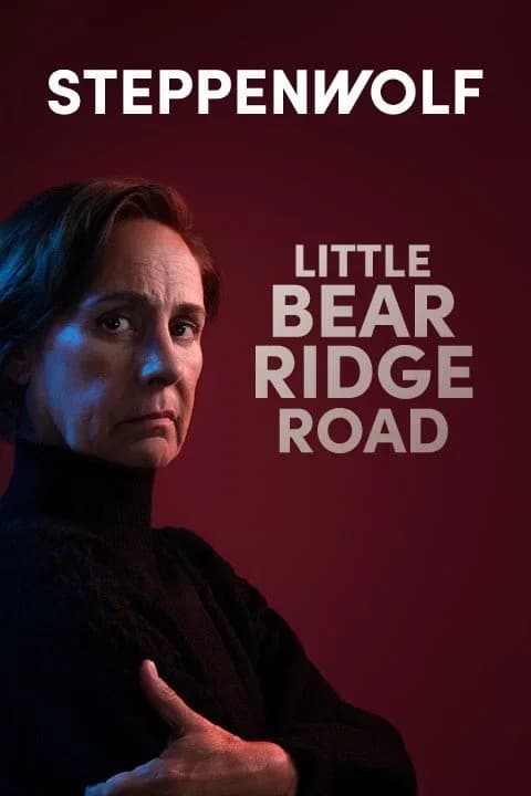 Little Bear Ridge Road poster